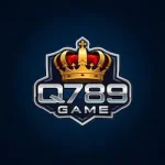 Q789 Game
