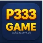 P333 Game