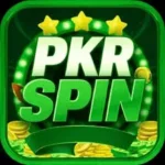PKR Spin Game