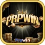 PRPWIN Game