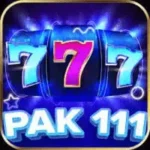 PAK1111 Game