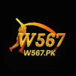 W567 Game