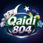 QAIDI 804 Game